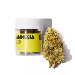 Amnesia - CBD Flower
