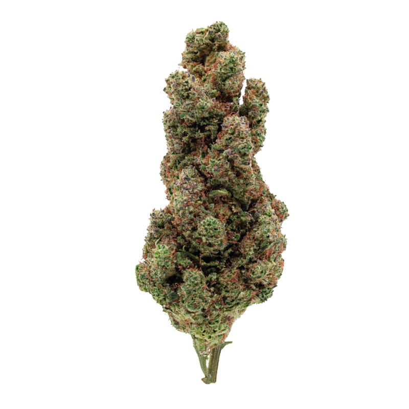 Sour Diesel Cbd premium