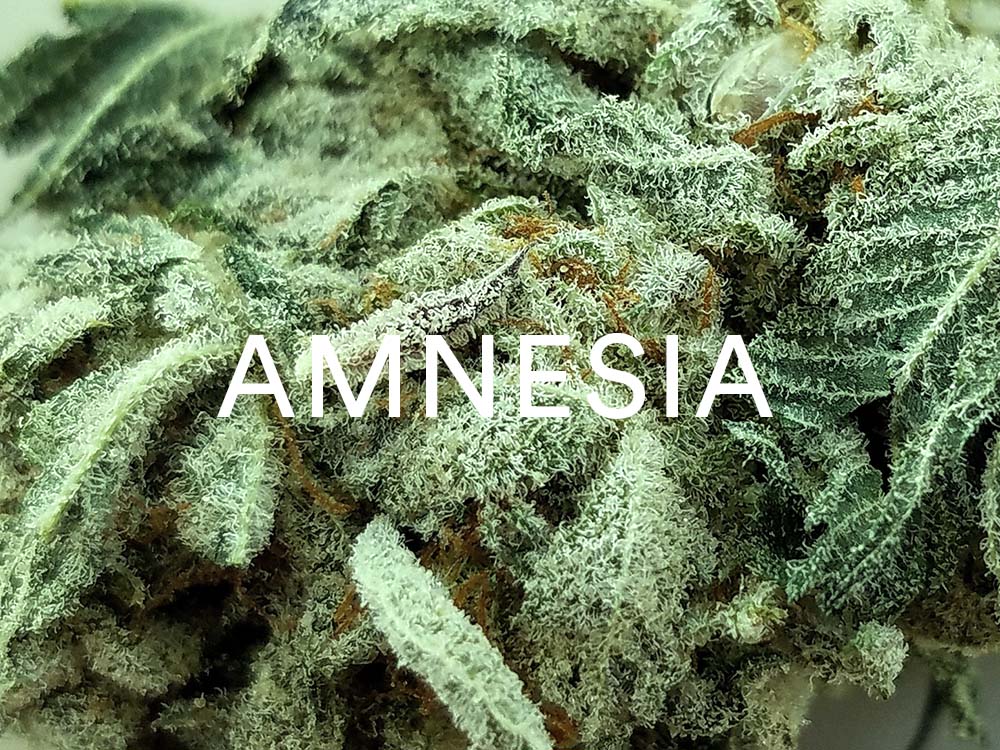 eliquide amnesia weed cbd