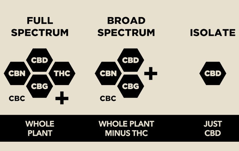 Différence CBD Full Spectrum, Broad Spectrum et Isolat de CBD