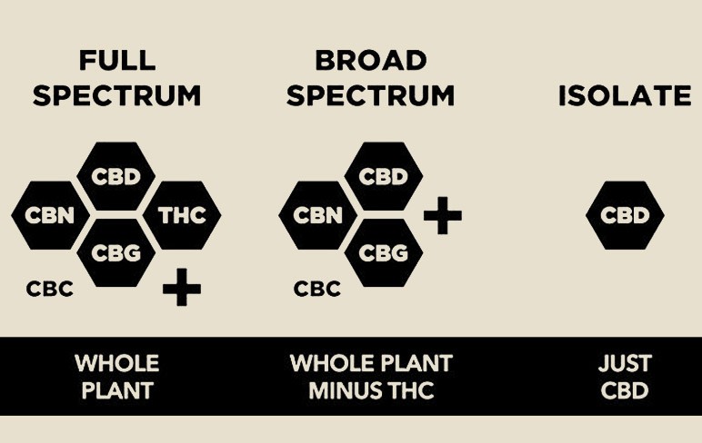 Full-Spectrum vs. Broad-Spectrum CBD Explained